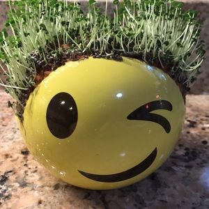 Meet your Posher, Wendell